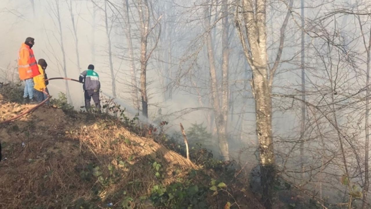 Karadeniz Bölgesi'ndeki tüm yangınlar kontrol altına alındı
