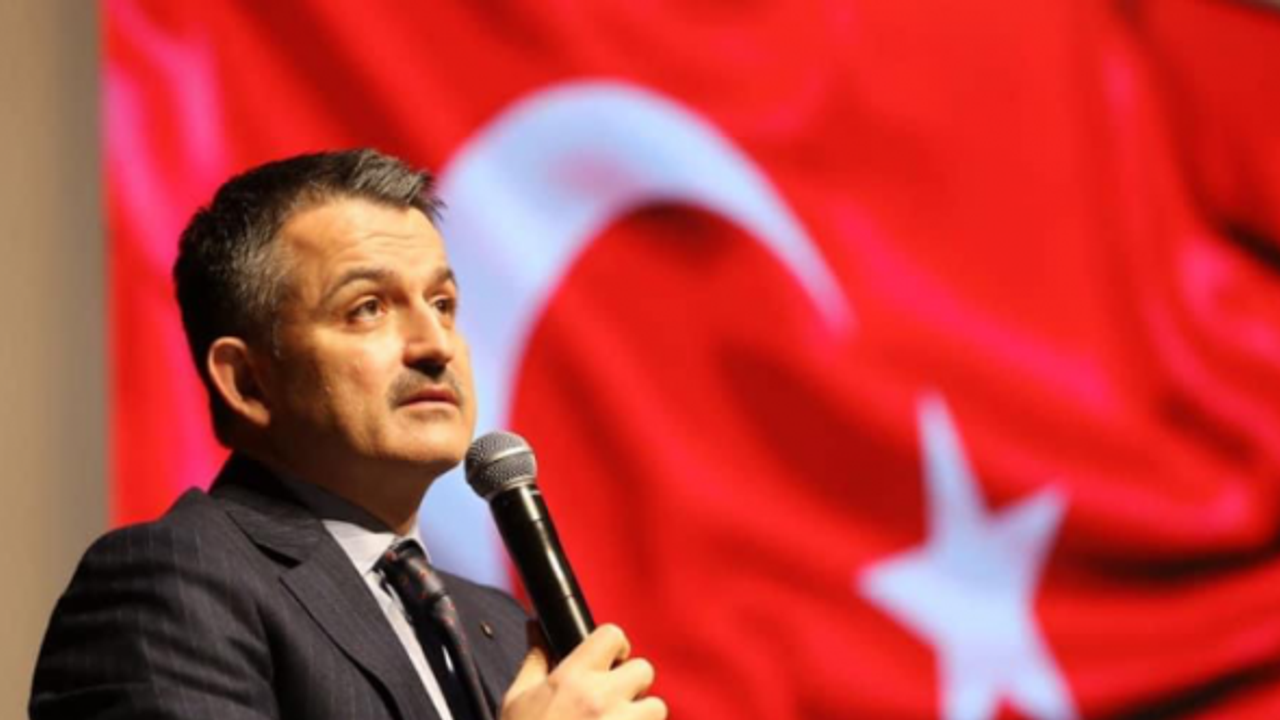 Türkiye'de Hamsi Avı yasakları sona erdi mi ?