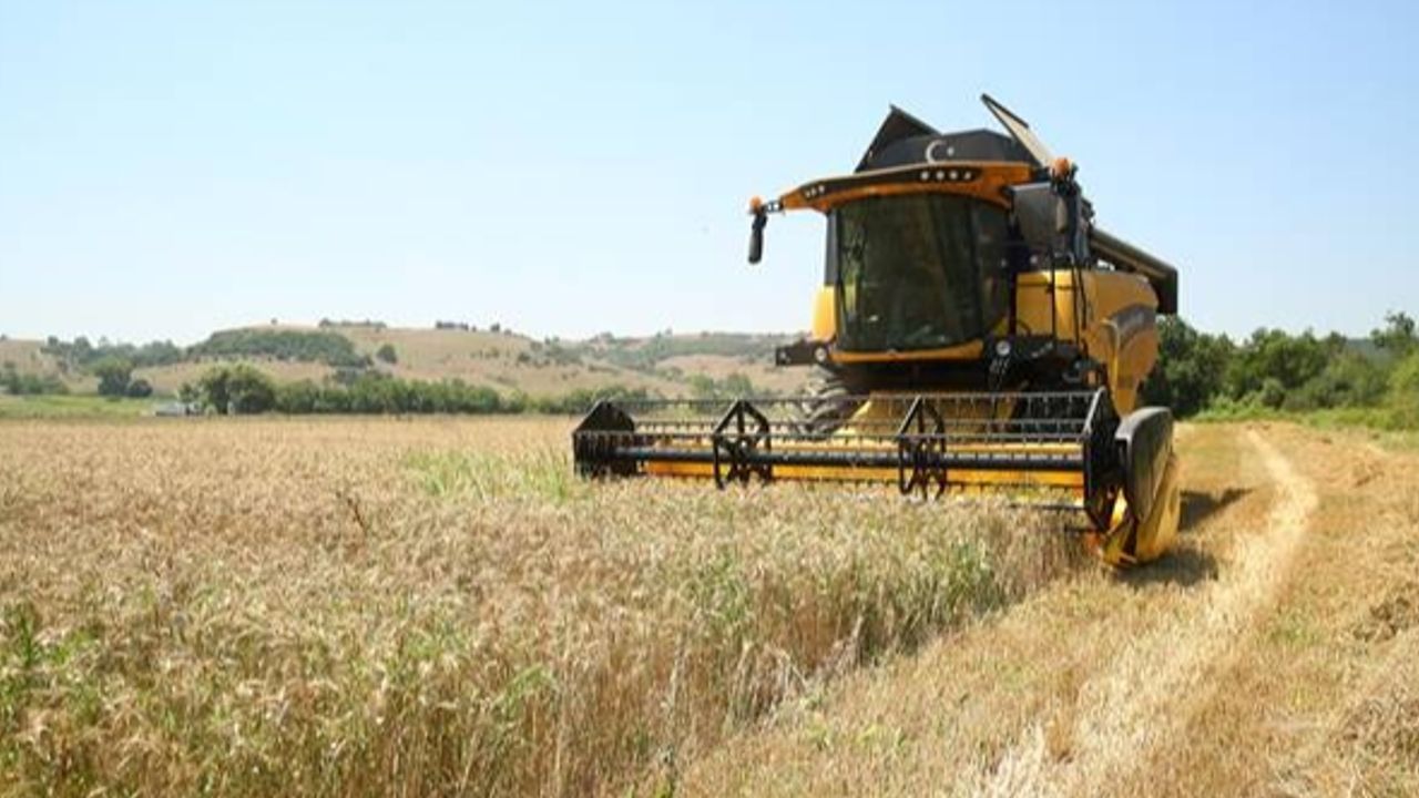 Nilüfer Kent Bostanları’nda 18 çeşit buğday denemesi yapıldı