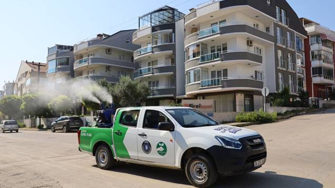 Mudanya'da sinek ve haşerelere karşı ilaçlama yapılıyor