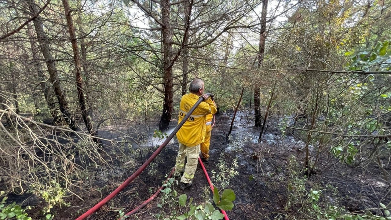 Bursa Uludağ'da çıkan orman yangını kontrol altına alındı