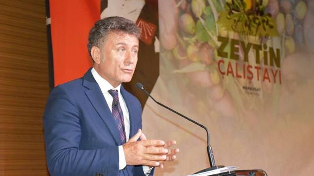 Sarıbal: "Zeytin üreticileri zeytinin 40 lira olmasını istiyor"