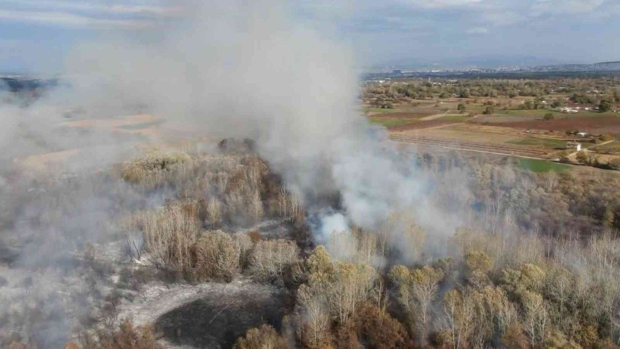 Bursa’da ormanlık alanda korkutan yangın havadan görüntülendi