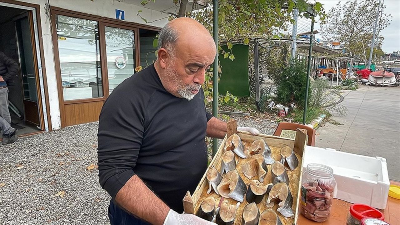 Zonguldak'ta avlanan palamut lakerda olarak satışa sunuluyor