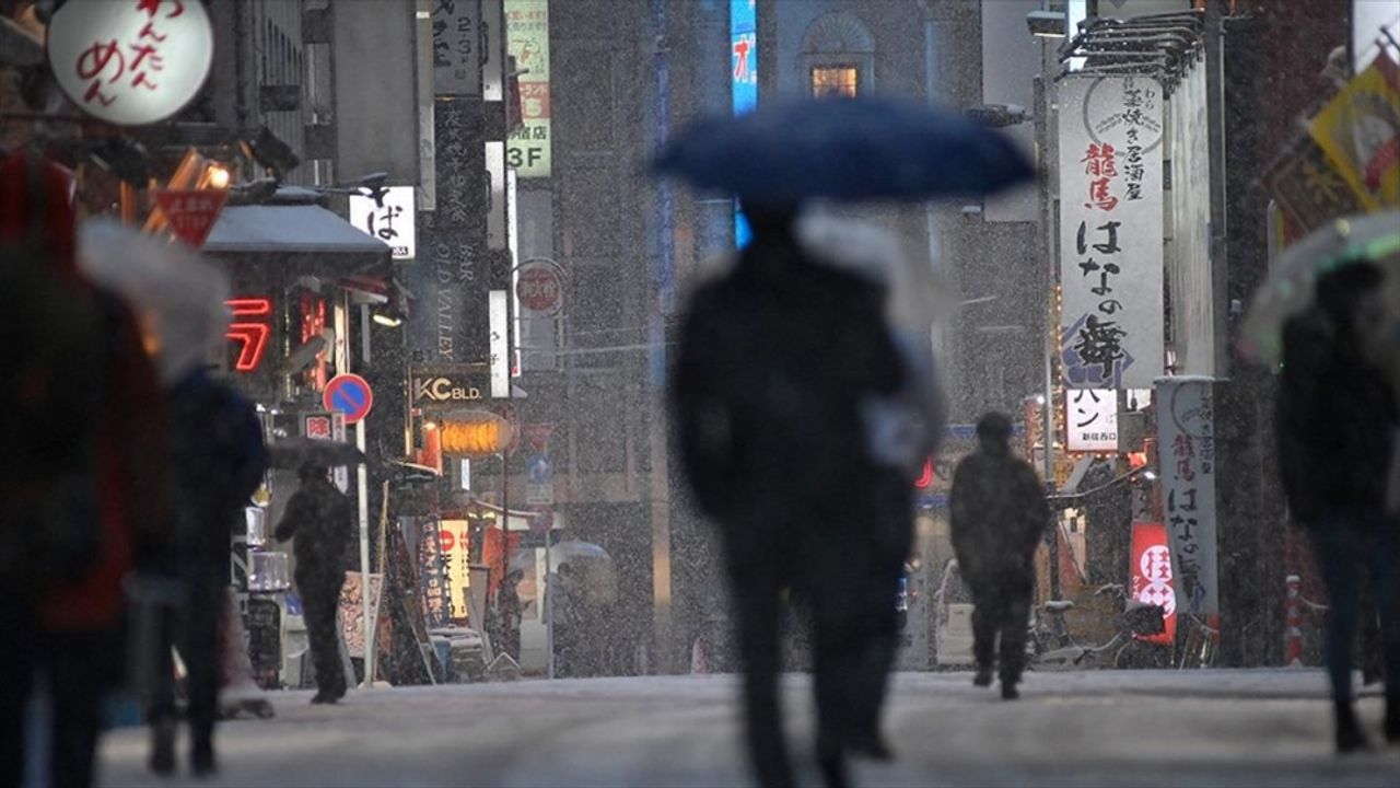 Japonya'da yoğun kar yağışı nedeniyle can kaybı sayısı 14'e yükseldi