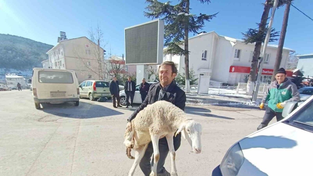 Bursalı çobanlar deprem bölgesine 40 koyun bağışladı