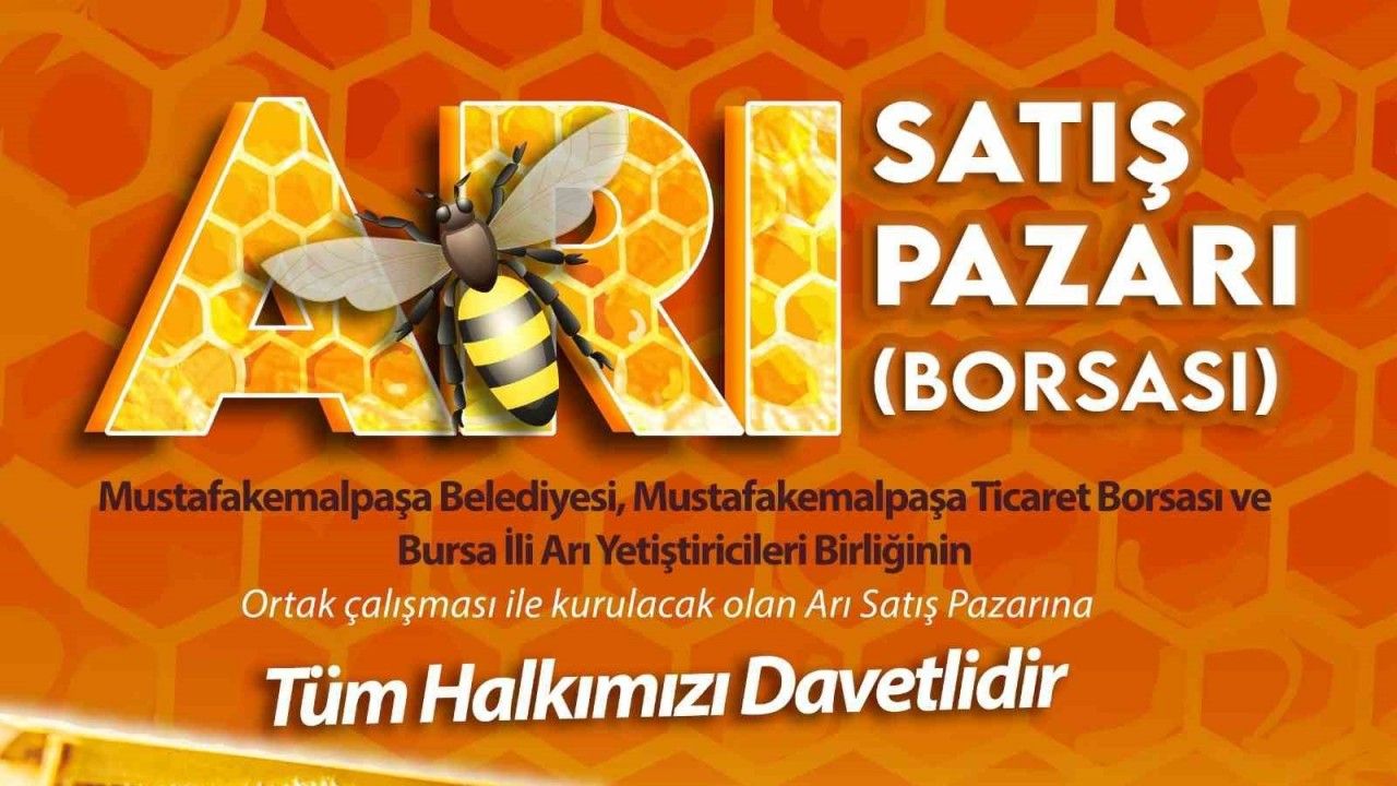 Türkiye’de bir ilk olan “Arı Pazarı” açılıyor.