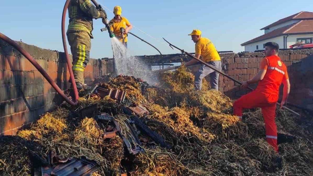Bursa  Yenişehir ilçesindeki çiftlikte korkutan yangın
