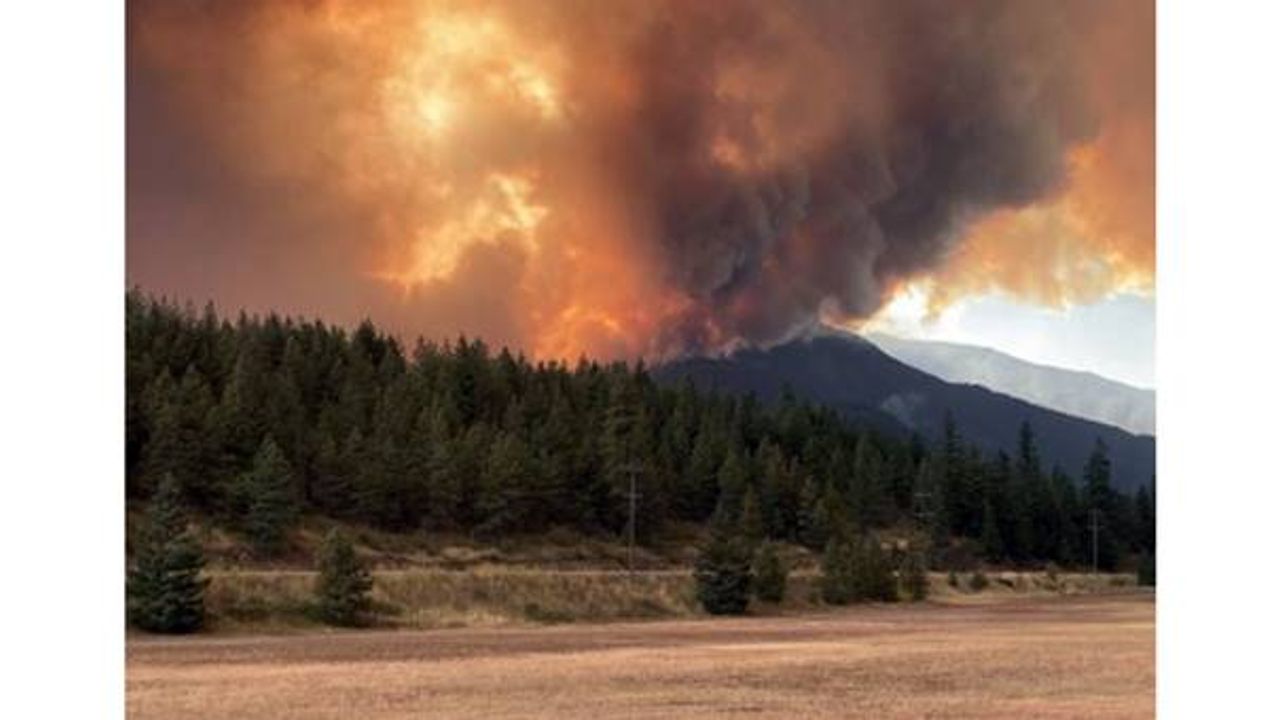 Kanada yanıyor: British Columbia'da acil durum ilan edildi