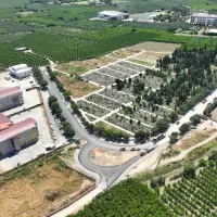 Bursa