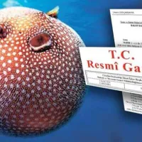 Genel