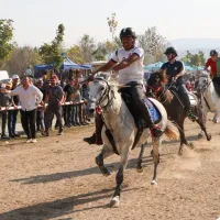 Bursa