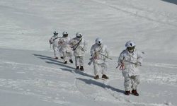 Eren-5 Operasyonunda Mardin'de 5 Terörist etkisiz hale getirildi