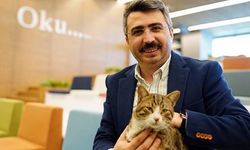 Minik kedi, Yıldırım Belediyesi Sahipsiz Hayvan Bakım ve Tedavi Merkezi’nde ameliyat edildi.