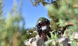 Mehmetçik, Teröre bir darbe daha vurdu