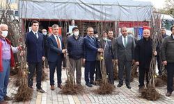 Harmancıklı çiftçilere 6 bin adet ayva fidanı dağıtıldı