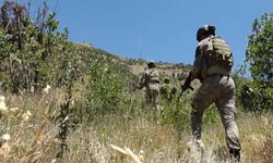 Pençe-Şimşek ve Pençe-Yıldırım operasyonları kararlılıkla sürüyor