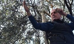 Gemlik Belediye Başkanı  Sertaslan'da  Marmarabirlik’e çağrıda bulundu.