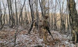 PKK Terör Örgütü'nü ülke gündeminden çıkarmak için operasyonlar devam ediyor