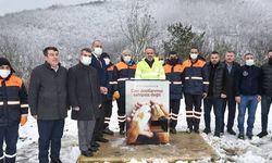 Başkan Aktaş: “Can dostlarımız da ağır kış şartlarından olumsuz etkilendi.''