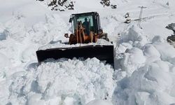 Artvin'in Yusufeli ilçesine çığ düştü