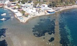 Bodrum'da denizin çekilmesiyle Tavşan Adası'na uzanan tarihi surlar ortaya çıktı