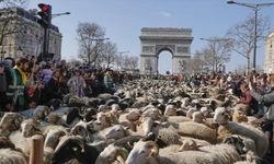 Paris'in en ünlü caddesini koyunlar doldurdu