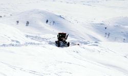 Van, Hakkari, Bitlis ve Muş'ta 362 yerleşimin yolu kardan kapandı