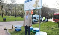 Bursa Büyükşehir Belediyesi, atık lastikleri kedi evine dönüştürüyor.