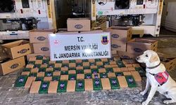 Hakkari'de 241 kilogram eroin ele geçirildi
