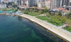 İstanbul'da bazı sahillerde müsilaj benzeri kirlilik görüldü