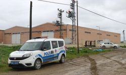Tekirdağ'da dereyi kirleten işletme süresiz faaliyetten men edildi