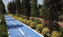 Dünyanın en büyük 5'inci şehir parkı olacak