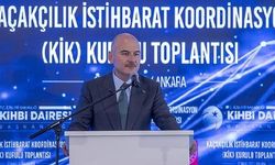 Soylu: "Yakalanan kaçak sigara azaldı ancak makaron yakalaması arttı"