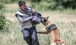 Bursa'da  TSK'nın 'cesur keşif köpekleri' yetiştiriliyor