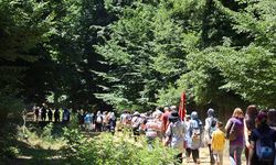 Türkiye’nin en büyük longoz ormanı Karacabey'de