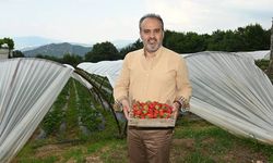 Başkan Aktaş, “Bursa sanayi şehri ama aynı zamanda çok iyi tarım şehridir.