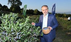 Hedef tersine göç