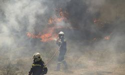 Yunanistan Meriç'teki yangın devam ediyor