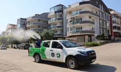 Mudanya'da sinek ve haşerelere karşı ilaçlama yapılıyor