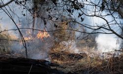 Fransa'da çıkan yangın 700 hektar alanı kül etti