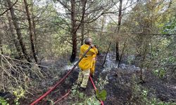 Bursa Uludağ'da çıkan orman yangını kontrol altına alındı