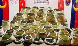 Narkoterör operasyonu başlatıldı