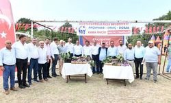 2. Akçapınar-Onaç-Dorak Kara İncir Birlik Festivali yapıldı