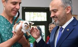 Başkan Aktaş, 4 aylık yavru bir kediyi sahiplendi.