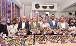 Bursa Büyükşehir Belediyesi'nden, üreticiye destek