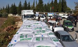 Bursa'da atıl tarım arazileri ekonomiye kazandırılıyor
