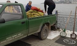 Bursa'da Kaçak midye avcılarına operasyon