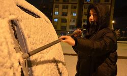 Erzurum'da kar etkili oluyor