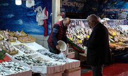 Balık tezgahlarının en ucuz balığı 70 TL ile hamsi oldu